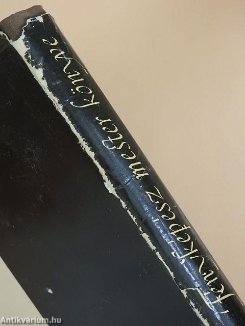 Fényképészmester könyve