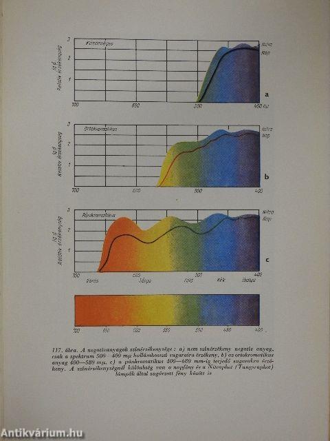 Fényképészmester könyve