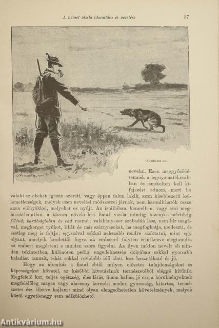 Az apróvad vadászata