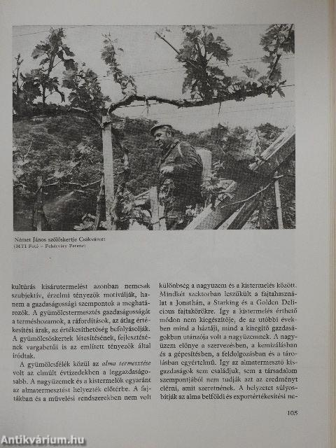 Kertművelés