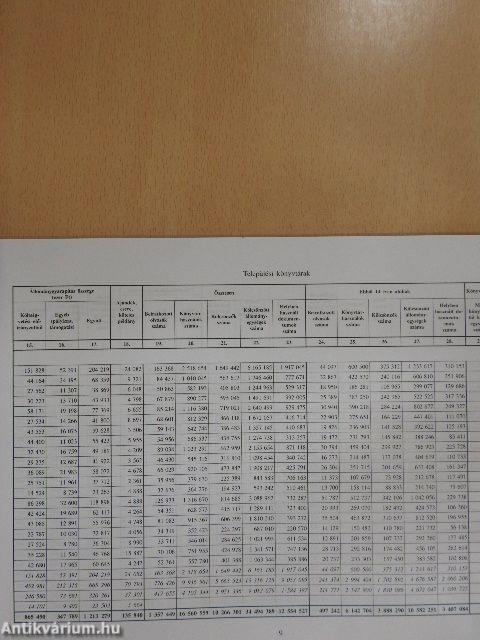 Könyvtári statisztika 2000