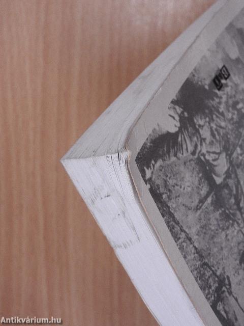 Nagy Imre testamentuma, a Magyar Golgota