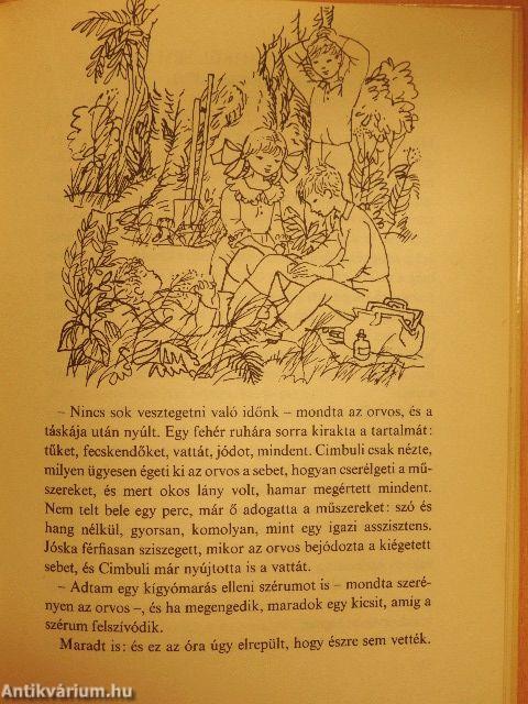 Három fiú meg egy lány