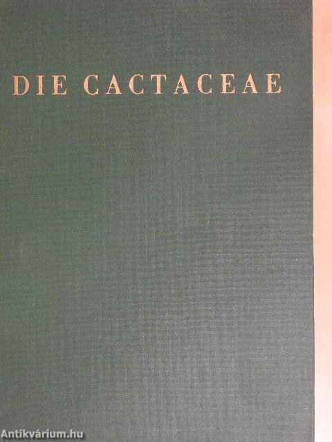 Die Cactaceae VI.