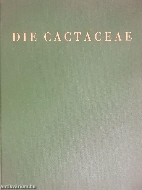 Die Cactaceae III.