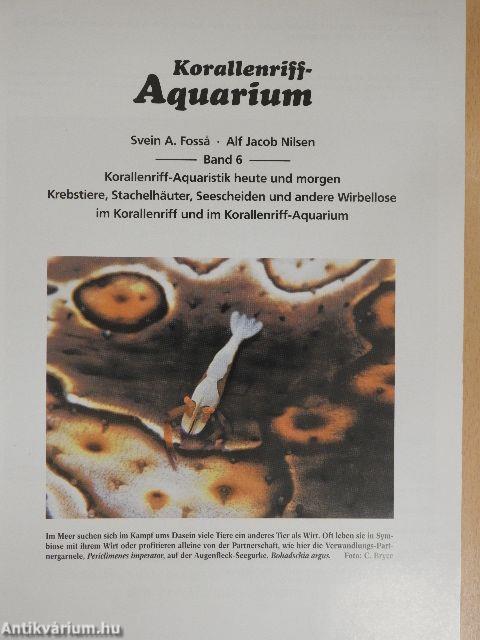 Korallenriff-Aquarium 6.