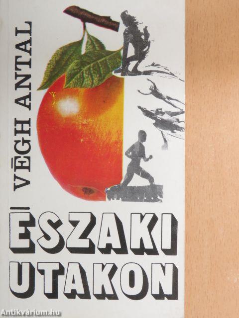 Északi utakon