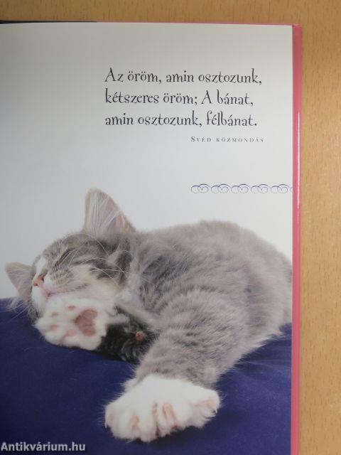 A szépség harmónia