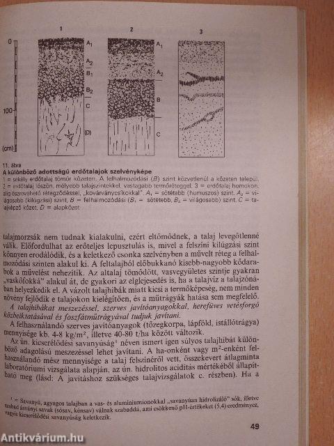 Talajjavítás és komposztálás a házikertben