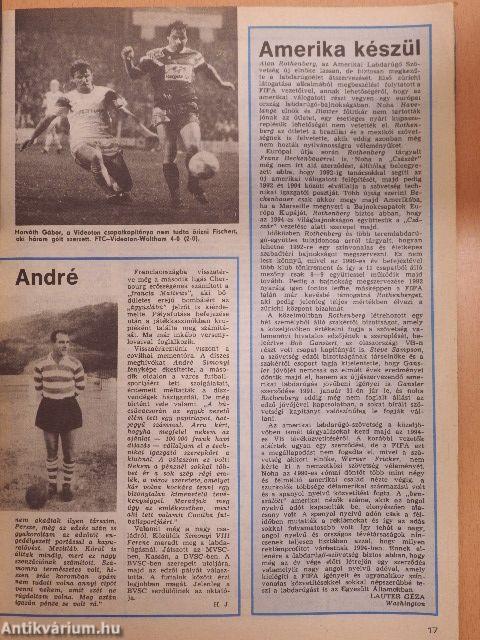 Labdarúgás 1990/11.