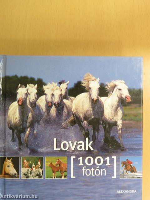 Lovak 1001 fotón