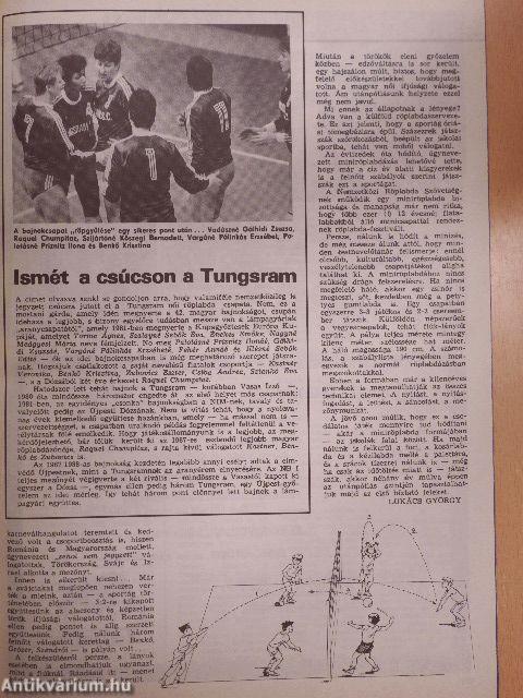 Labdarúgás 1988. június