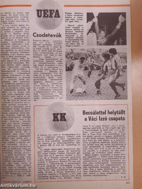 Labdarúgás 1988. június