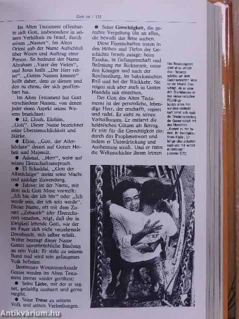 Handbuch Christlicher Glaube