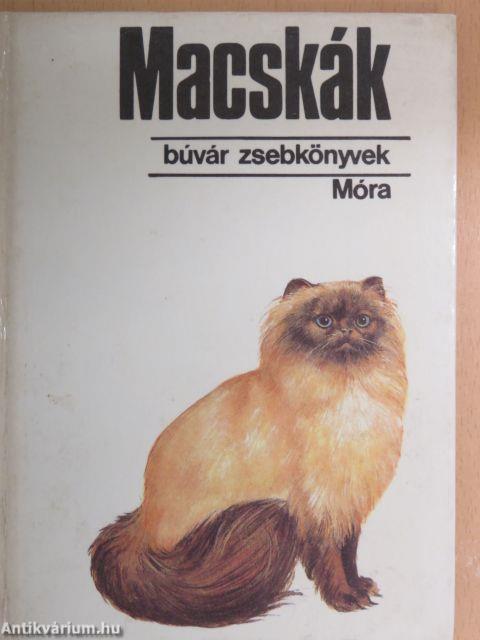 Macskák