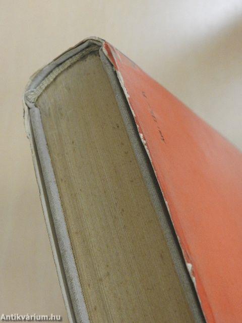 Formateremtő elvek a költői alkotásban