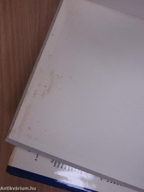 Formateremtő elvek a költői alkotásban