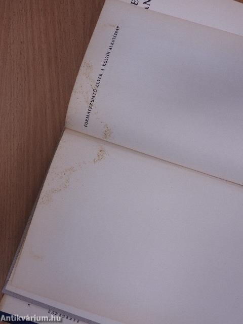 Formateremtő elvek a költői alkotásban