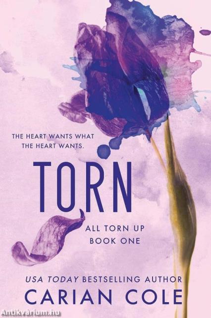 Torn (All Torn Up Series, Book 1)