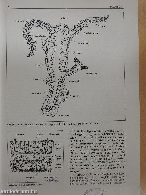 Biológia II.