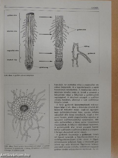 Biológia I.