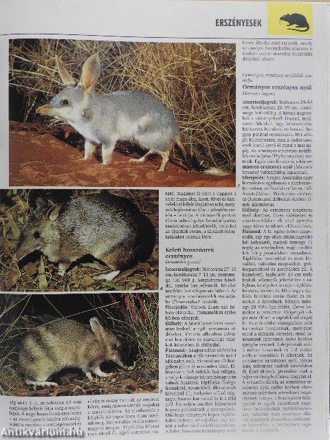 Emlősök Ausztráliában és Afrikában