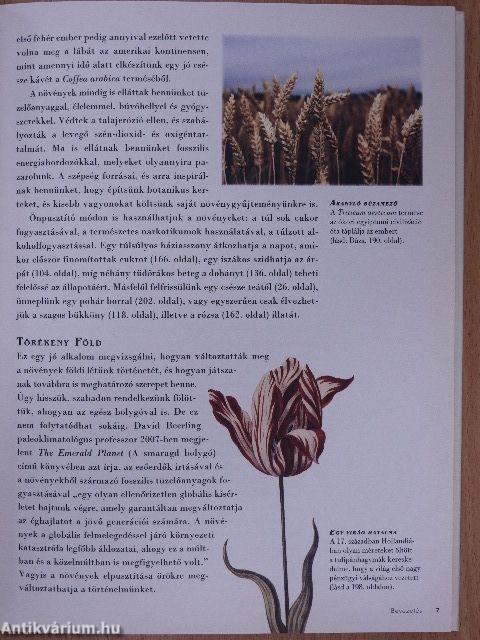 Ötven növény, amely megváltoztatta a történelmet