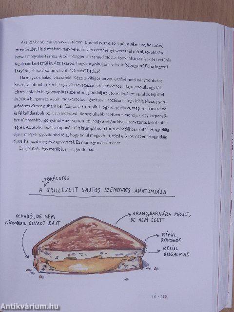 Só, zsír, sav, hő