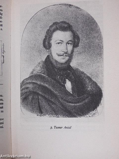 Széchenyi pesti tervei