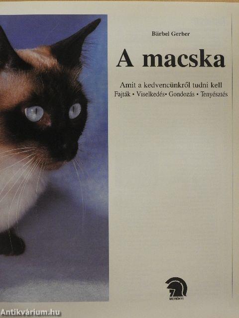 A macska