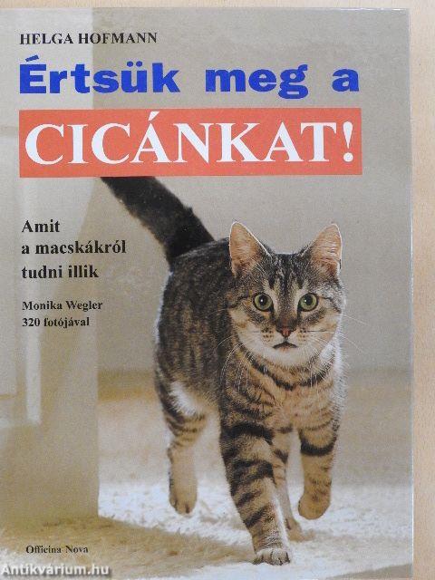 Értsük meg a cicánkat!