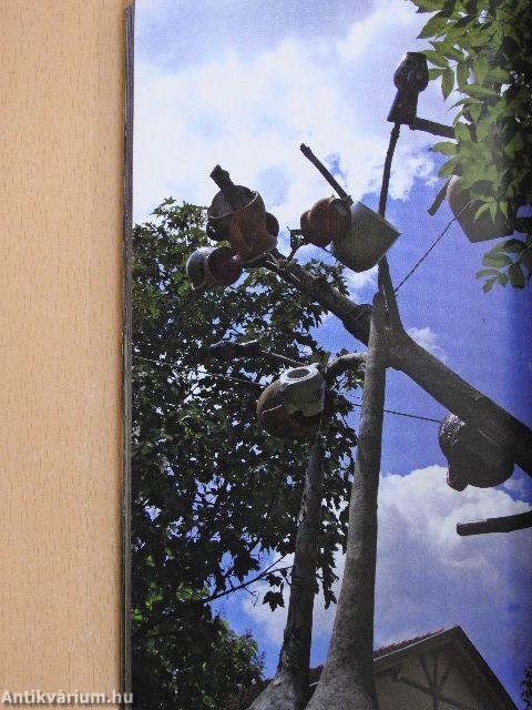 Hódmezővásárhely és környéke