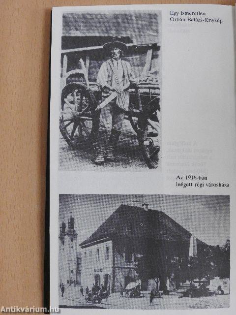 Székelyudvarhely művelődéstörténete