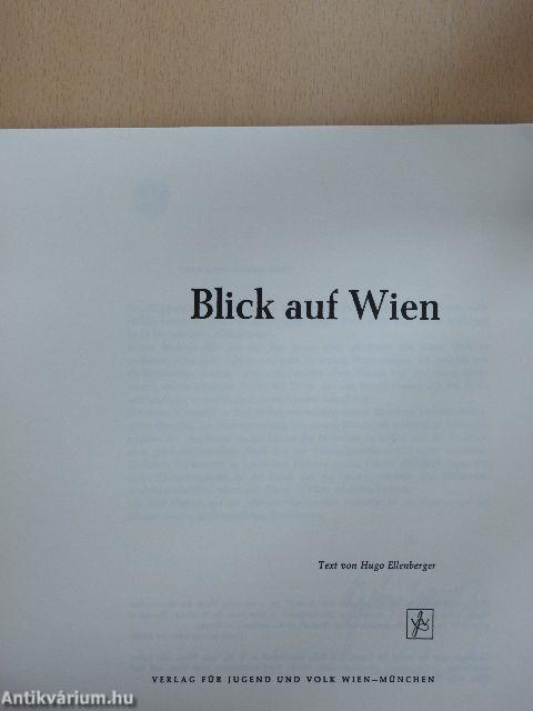 Blick auf Wien