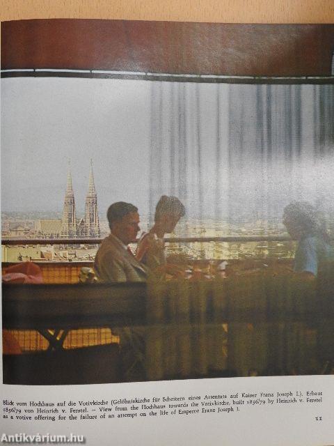 Blick auf Wien
