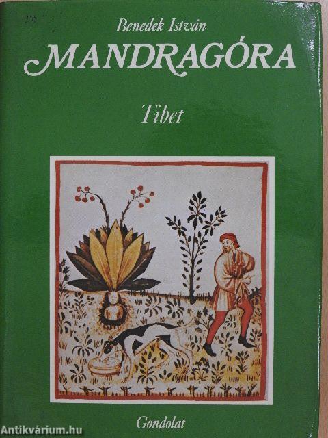 Mandragóra I.