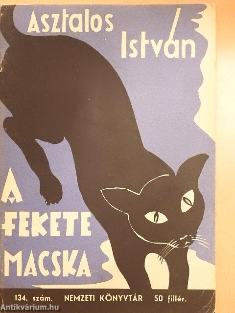 A fekete macska/Tanulmány: Egy világhírű magyar festőművész