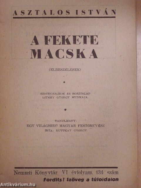 A fekete macska/Tanulmány: Egy világhírű magyar festőművész