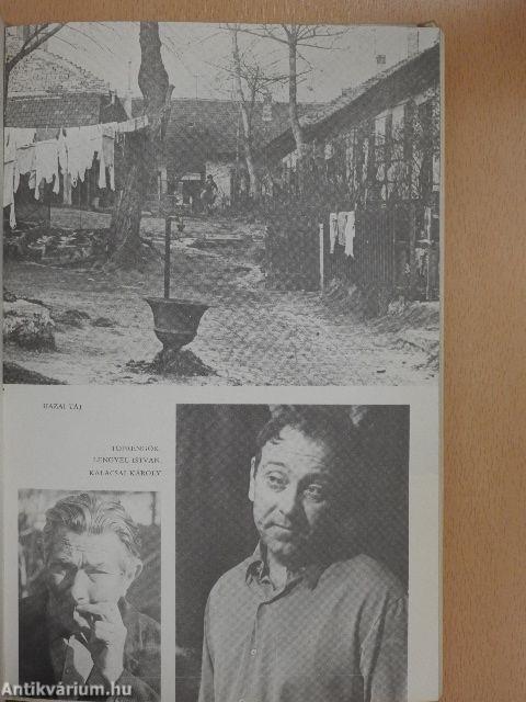 Történelem alulnézetben