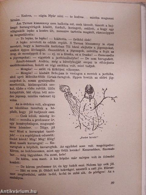 Kököjszi és Bobojsza