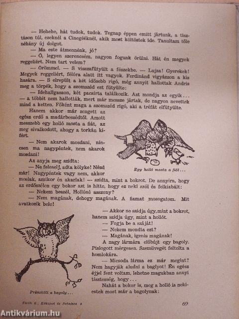 Kököjszi és Bobojsza