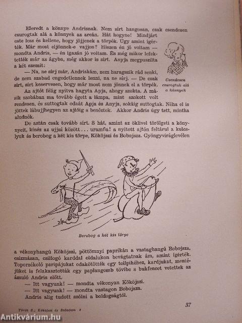 Kököjszi és Bobojsza