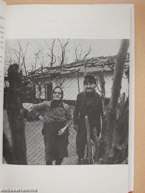 Az almafákat évente kell metszeni