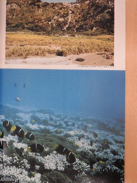 National Geographic February 1984