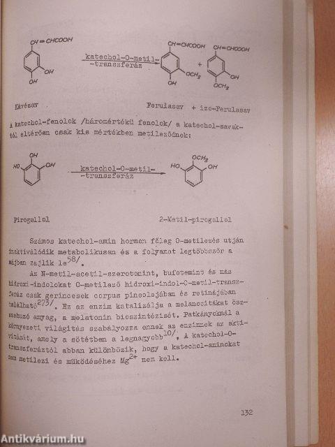 Testidegen vegyületek biokémiája I-II.