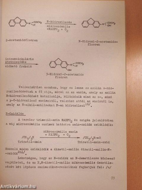 Testidegen vegyületek biokémiája I-II.