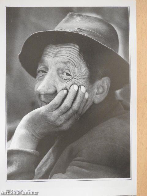 Bálint Zsigmond