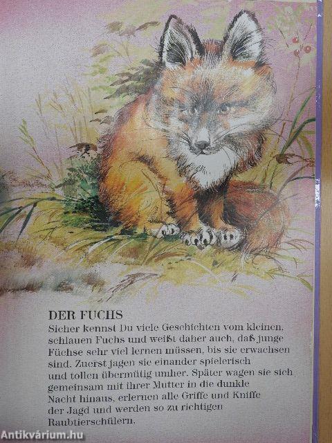 Tierkinder