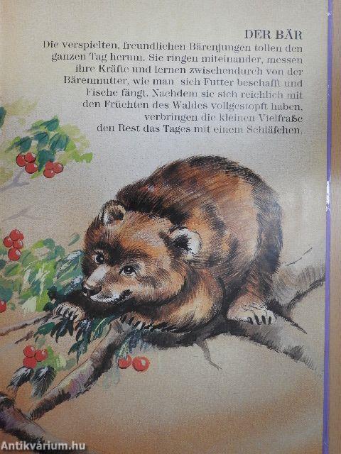 Tierkinder