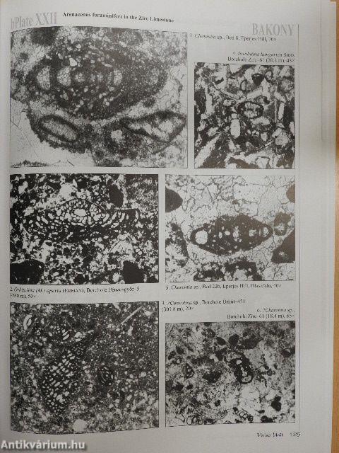 Geologica Hungarica - Series Geologica 25.